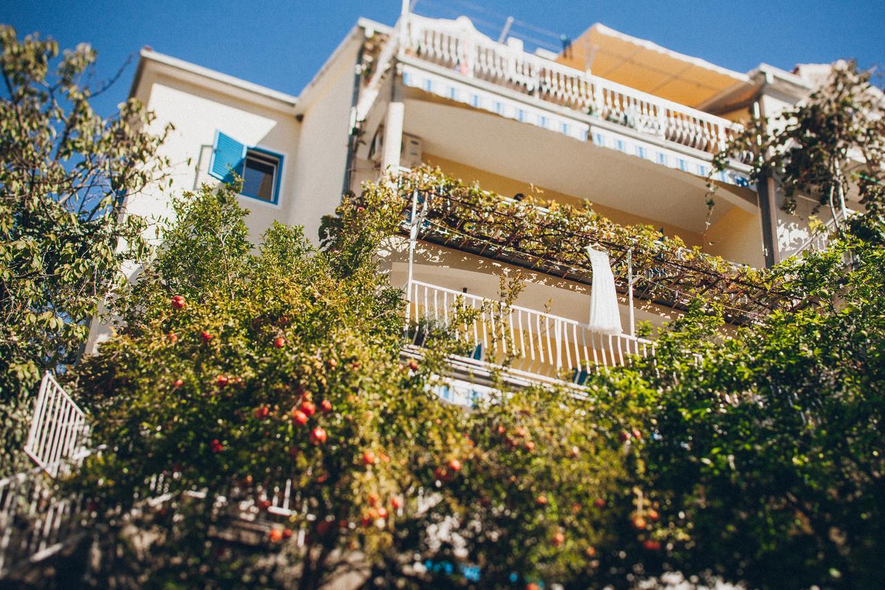 Famelja Jovanovic Apartman *